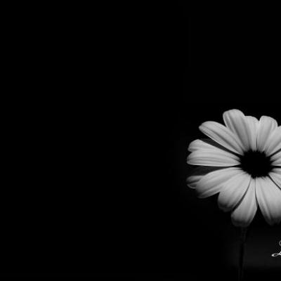 pictures i like, so simple