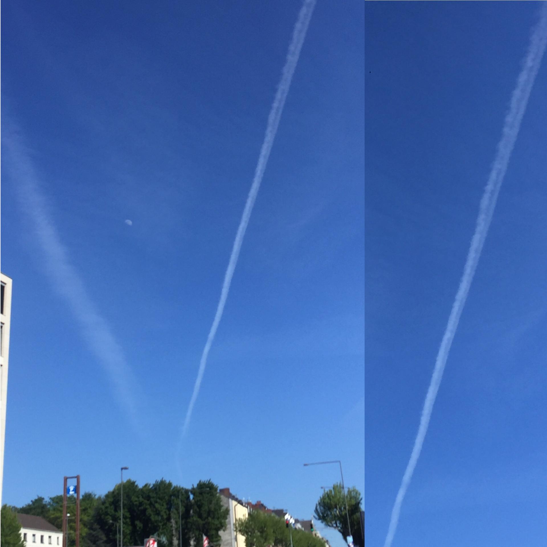 Photo by Blessed Sue 